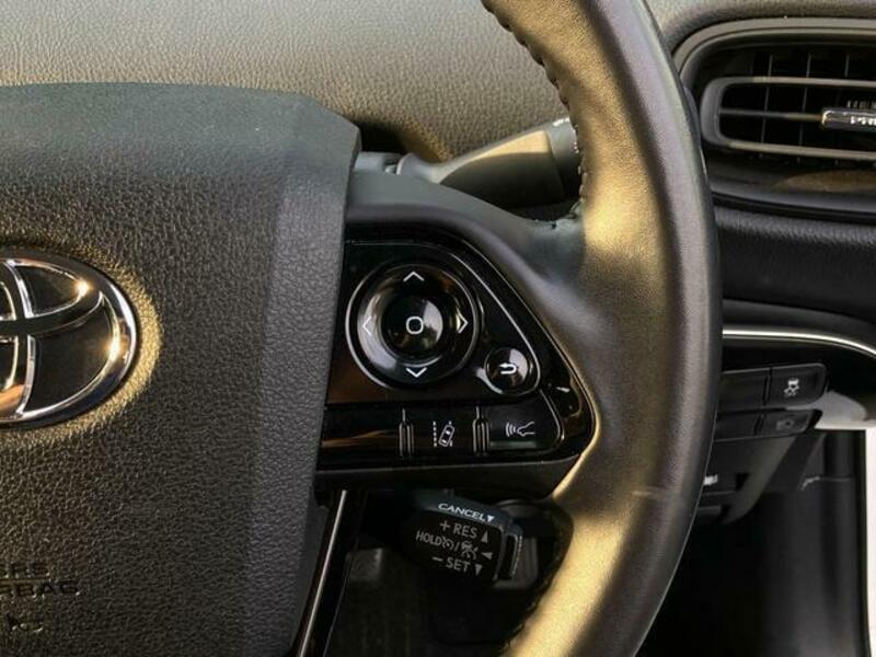 PRIUS-15