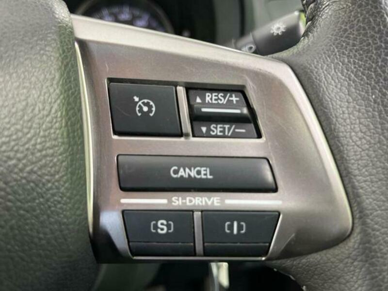 FORESTER-5