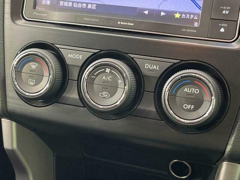 FORESTER-6