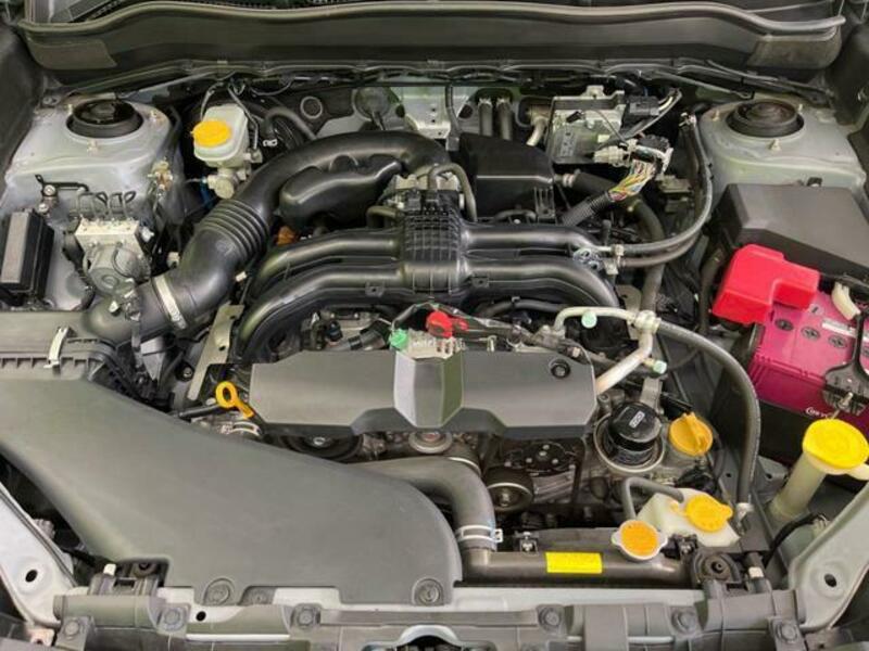 FORESTER-17