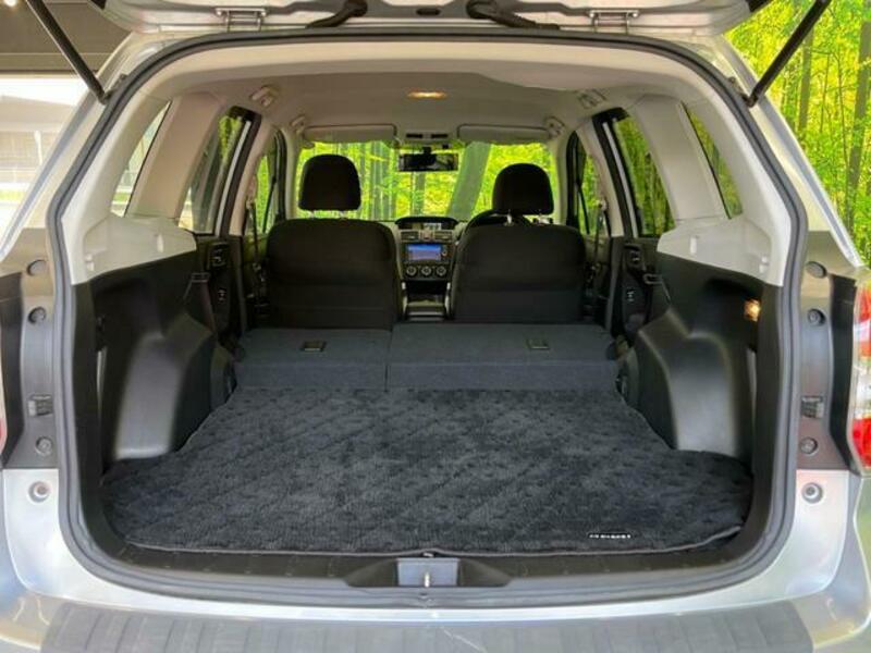 FORESTER-9