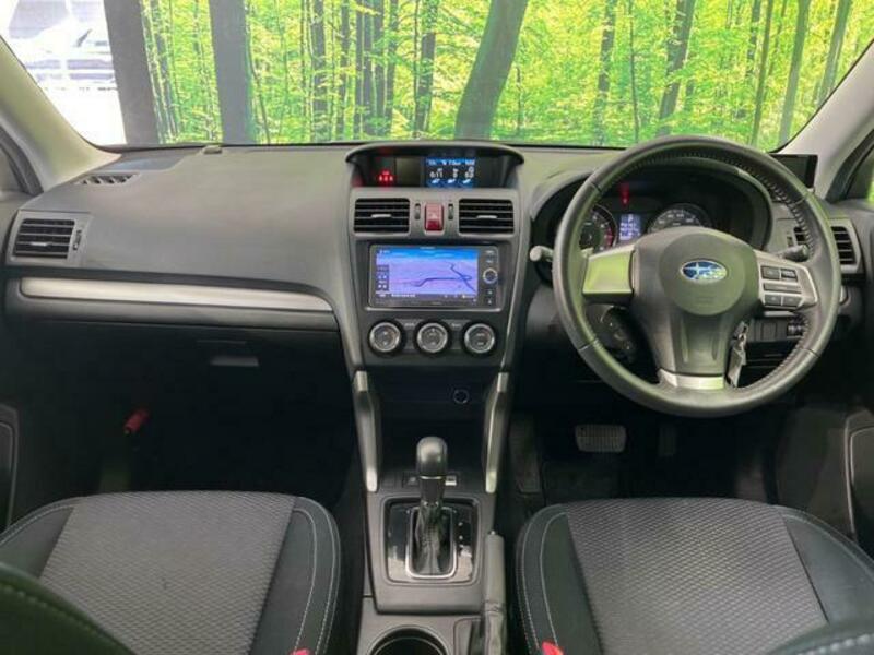 FORESTER-1
