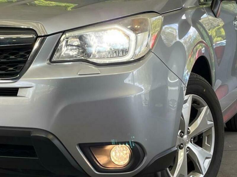 FORESTER-11