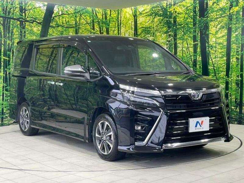 VOXY-15
