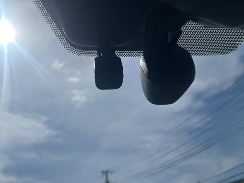 LS-19