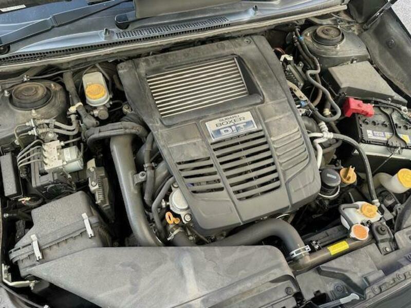 LEVORG-10