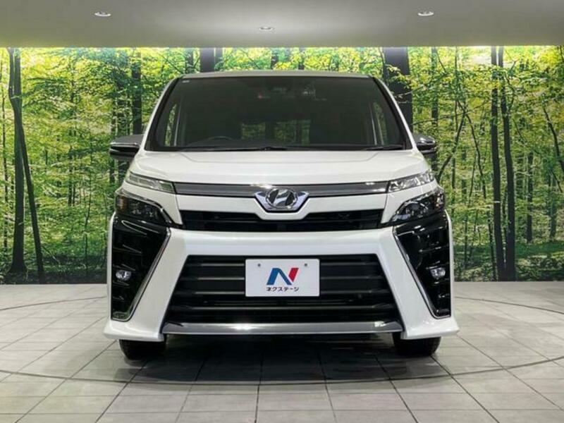 VOXY-15
