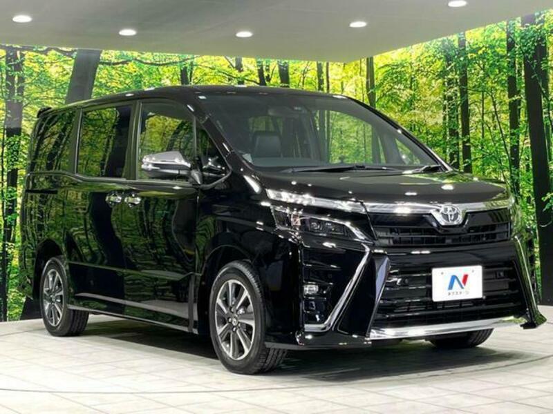 VOXY-16