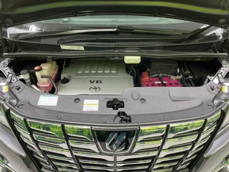 ALPHARD-19