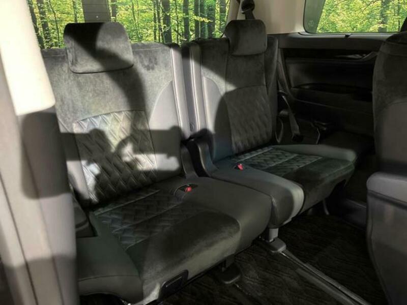ALPHARD-10