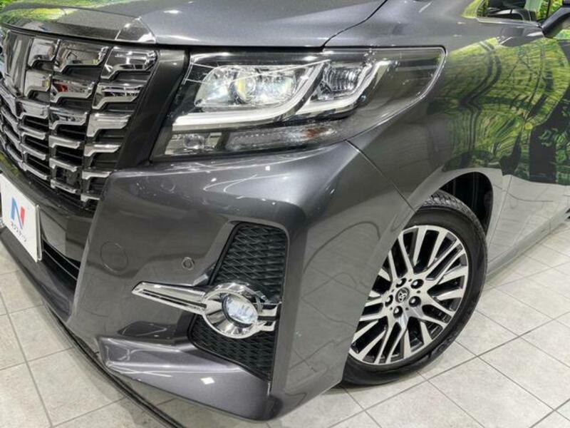 ALPHARD-13