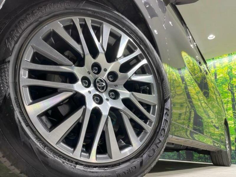ALPHARD-14