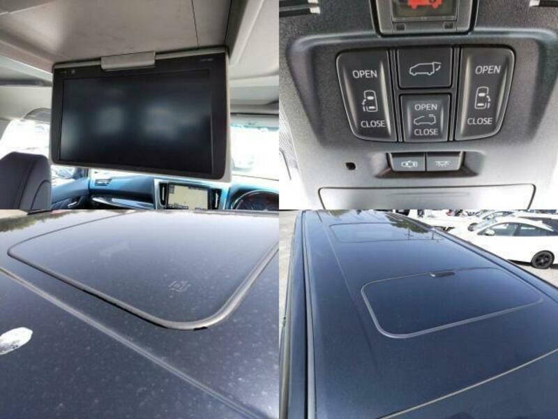 ALPHARD-6