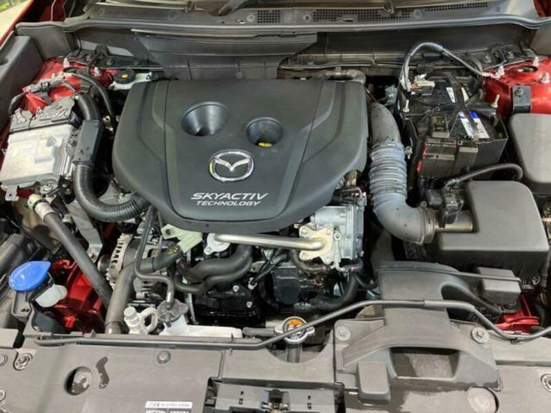 CX-3-17