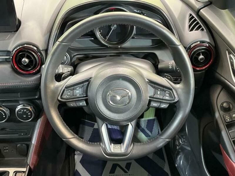 CX-3-10