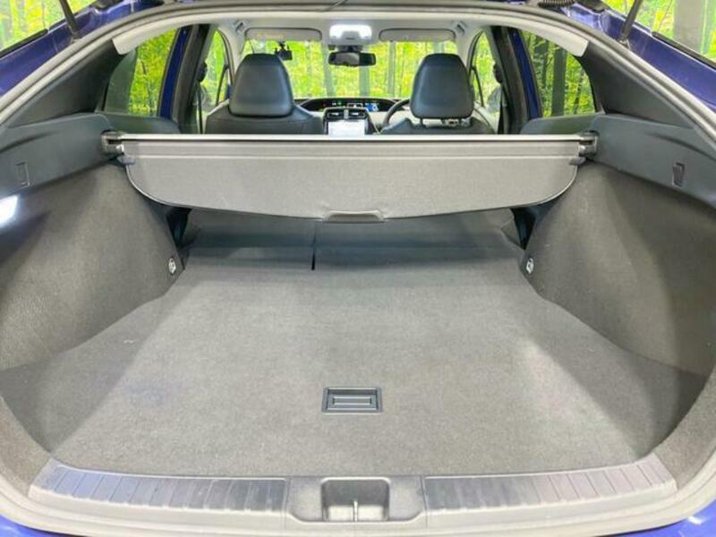 PRIUS-10