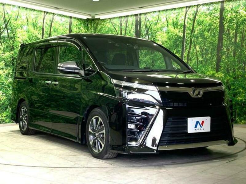 VOXY-17