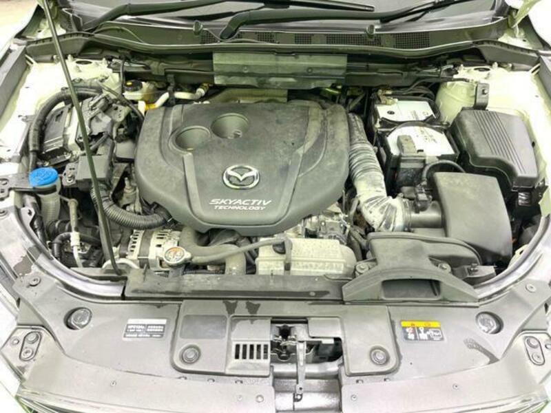 CX-5-17