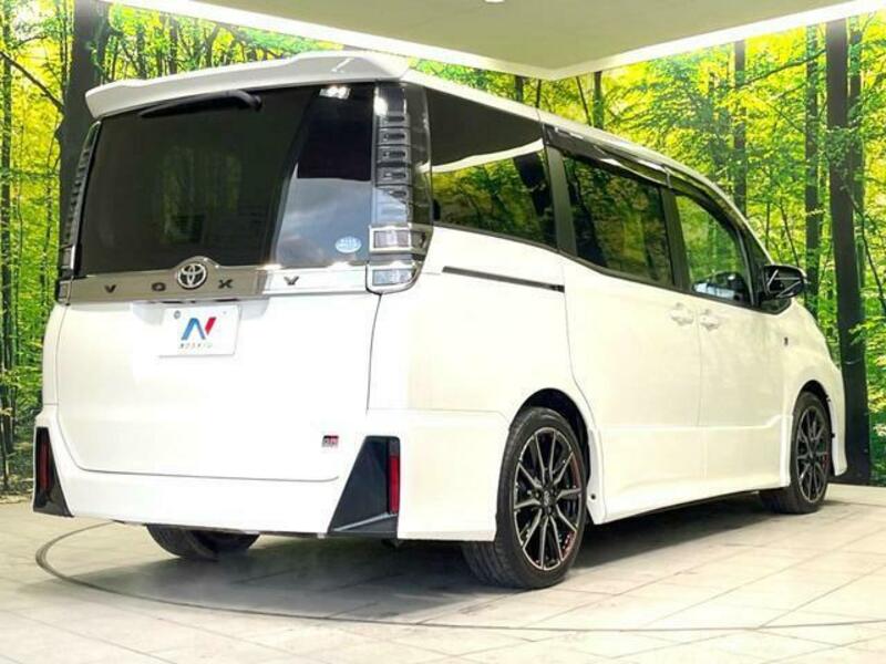 VOXY-17