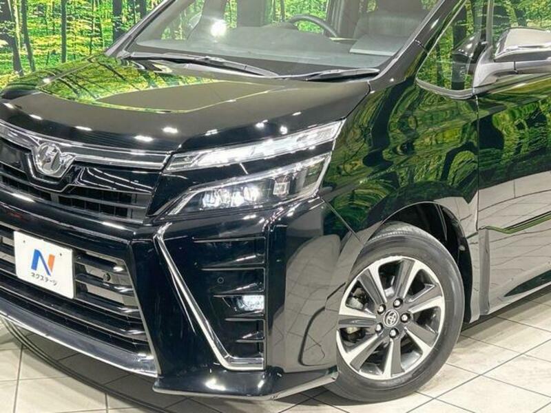 VOXY-12
