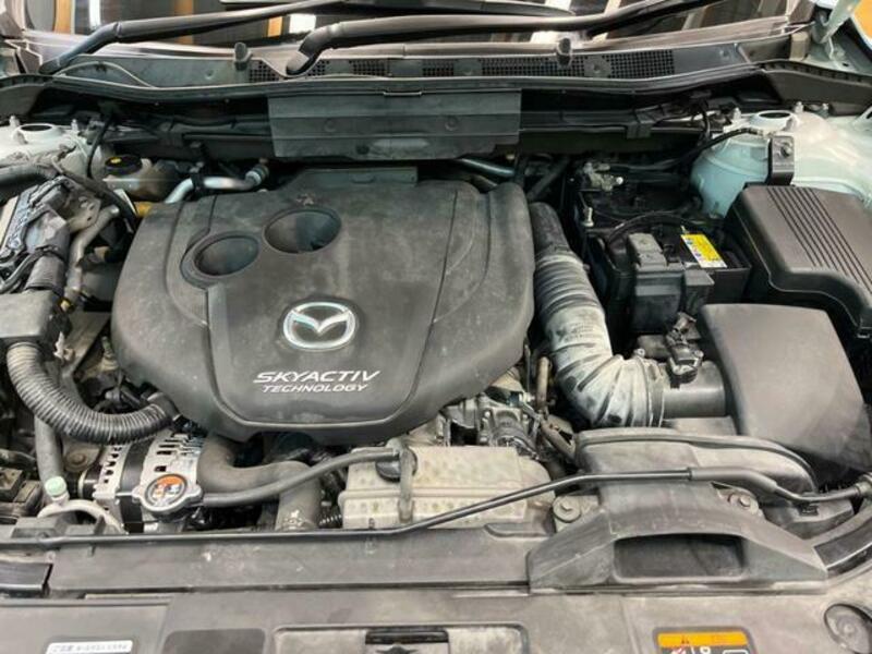 CX-5-18