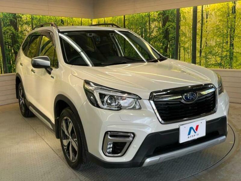 FORESTER-15