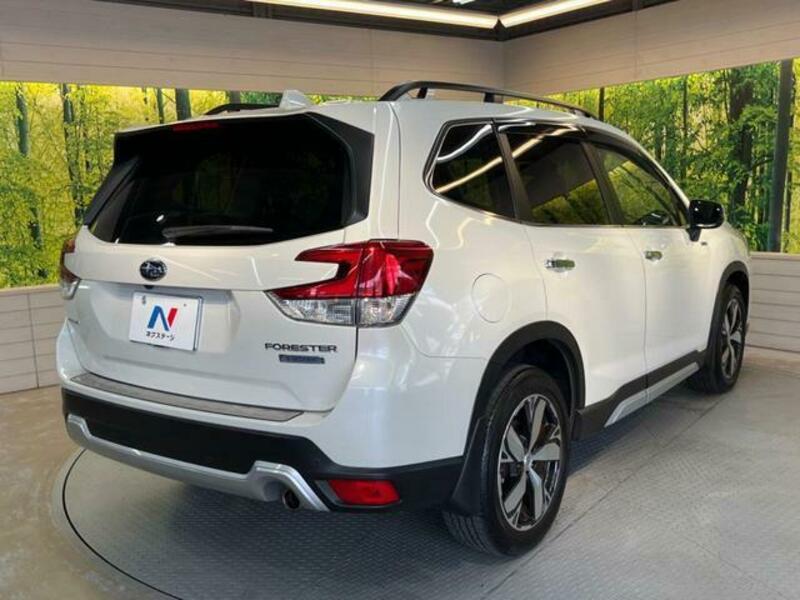 FORESTER-16