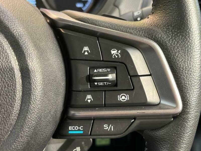 FORESTER-5