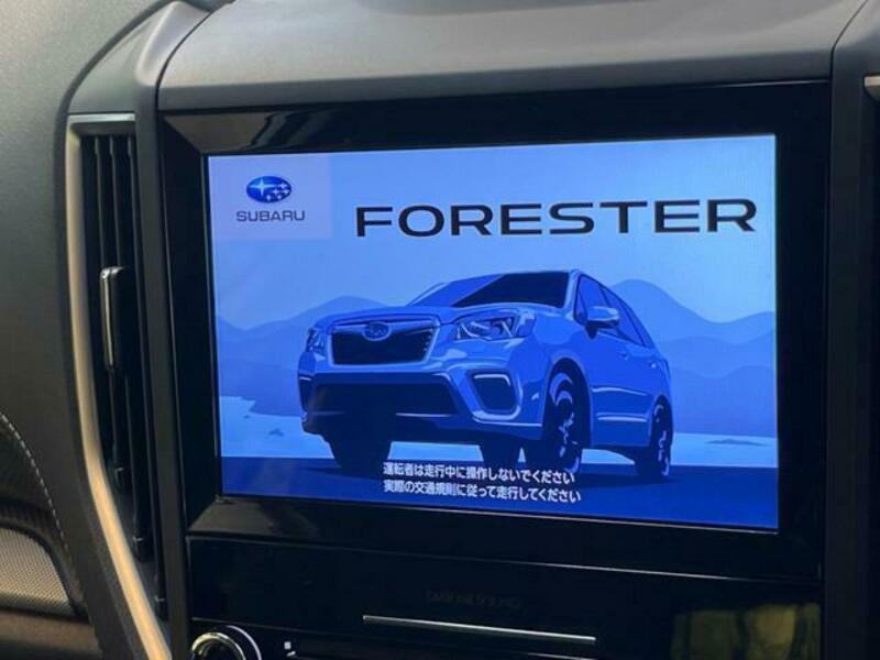 FORESTER-2