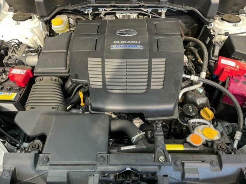 FORESTER-17