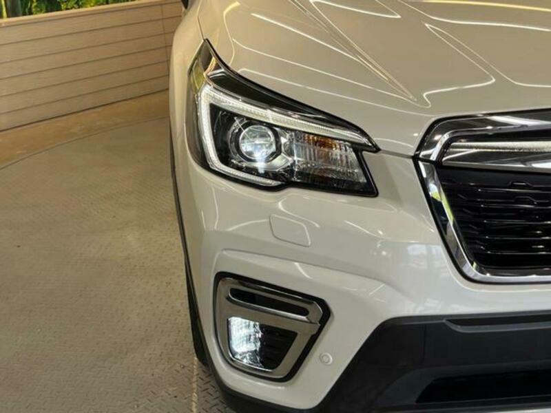 FORESTER-11