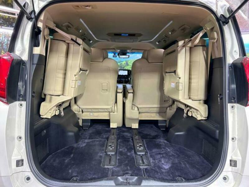ALPHARD-10
