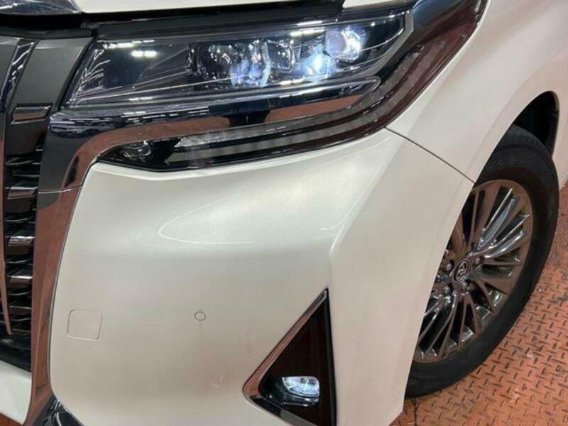 ALPHARD-12
