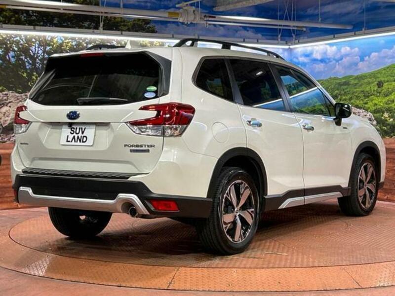 FORESTER-16