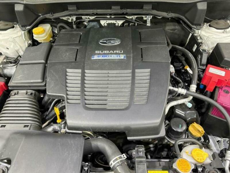 FORESTER-17