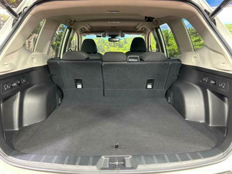 FORESTER-9