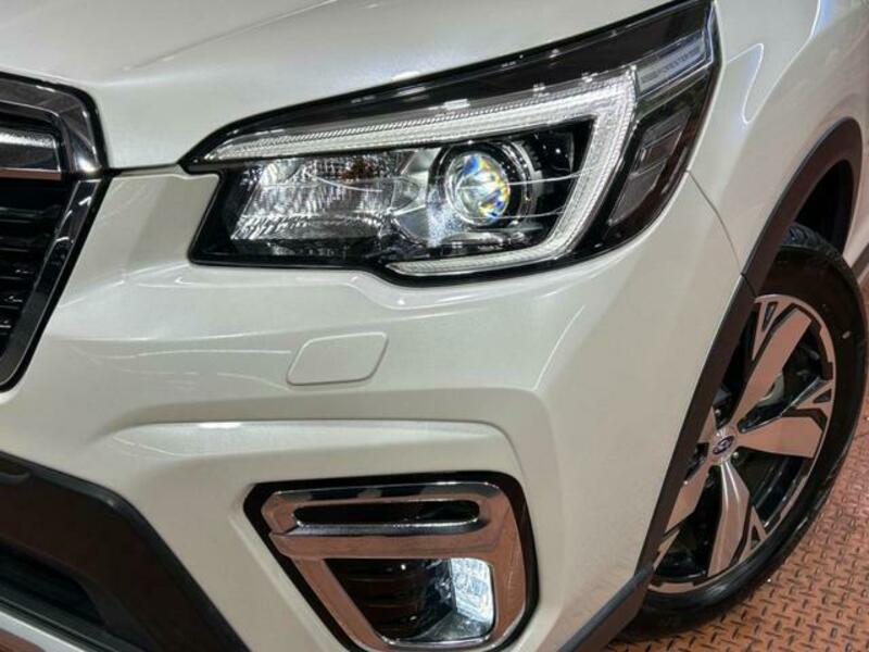 FORESTER-11