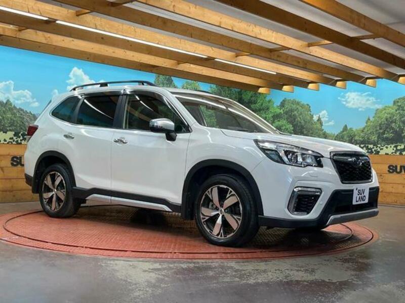 FORESTER-15