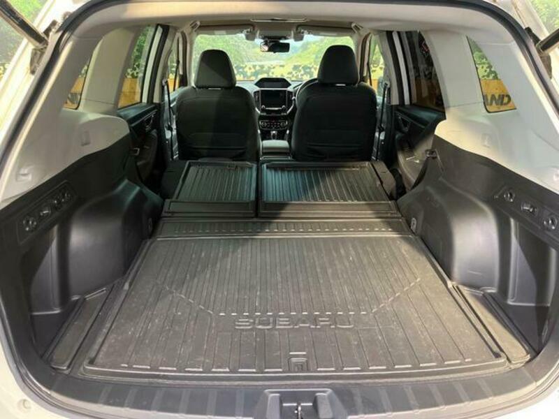 FORESTER-9