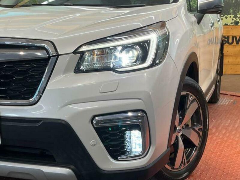 FORESTER-11