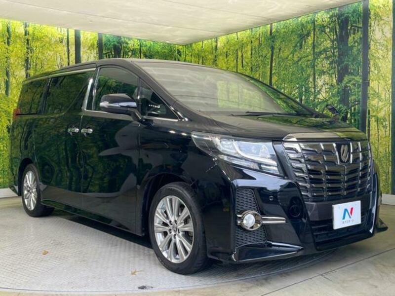 ALPHARD-16