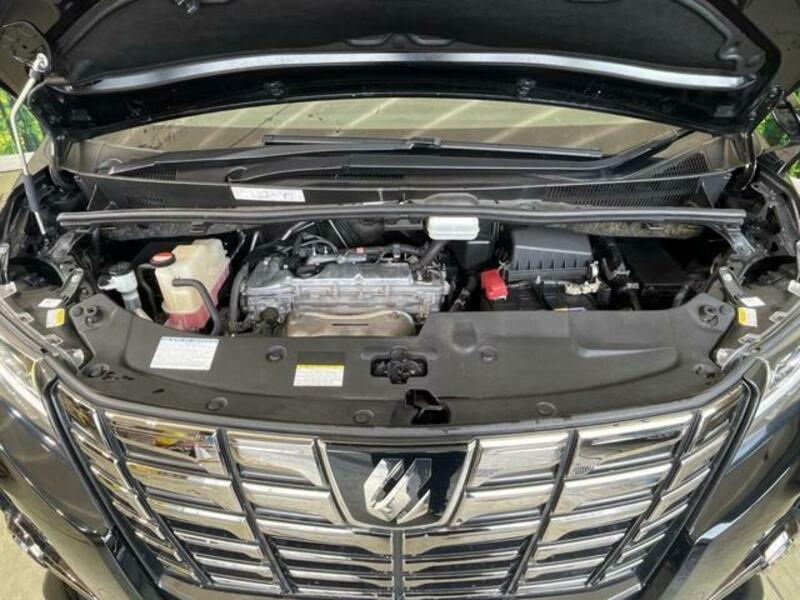 ALPHARD-17