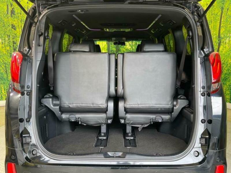ALPHARD-10