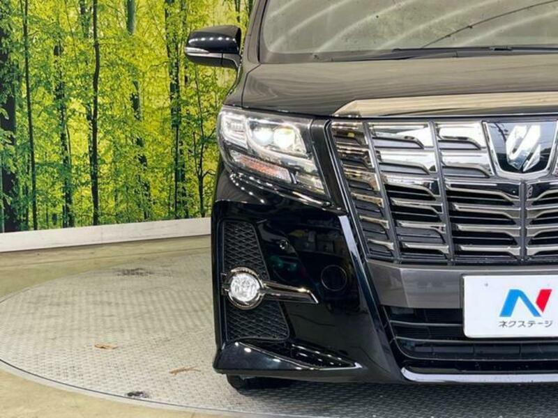 ALPHARD-12