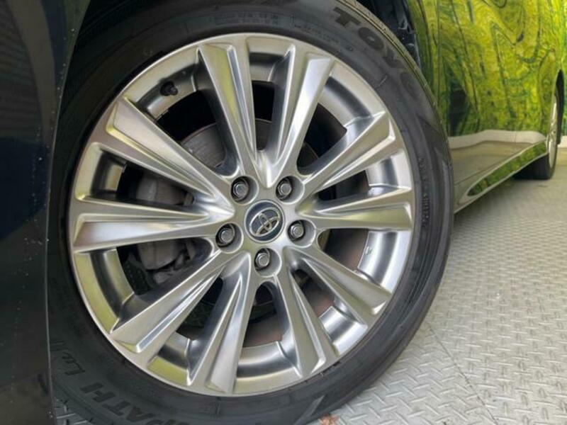 ALPHARD-13