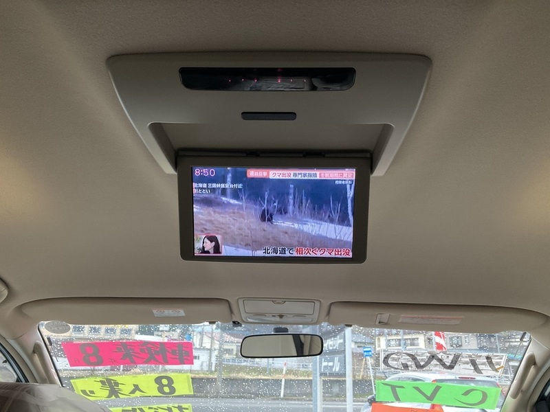 ALPHARD-19
