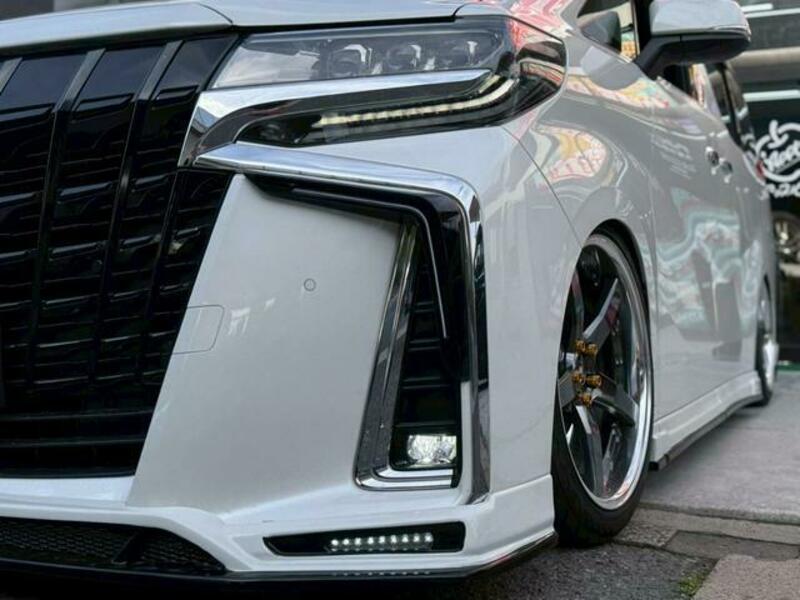 ALPHARD-6