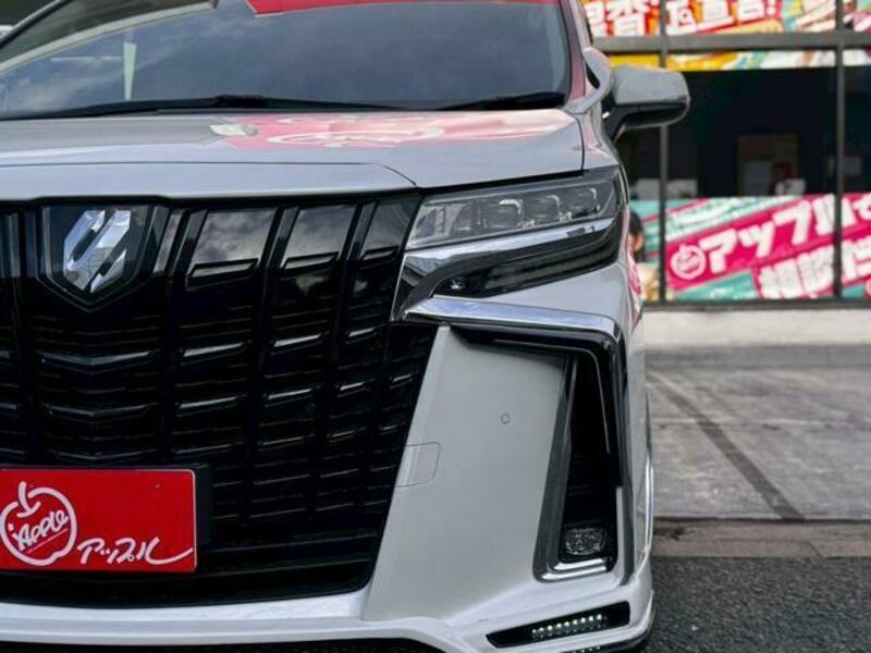 ALPHARD-10