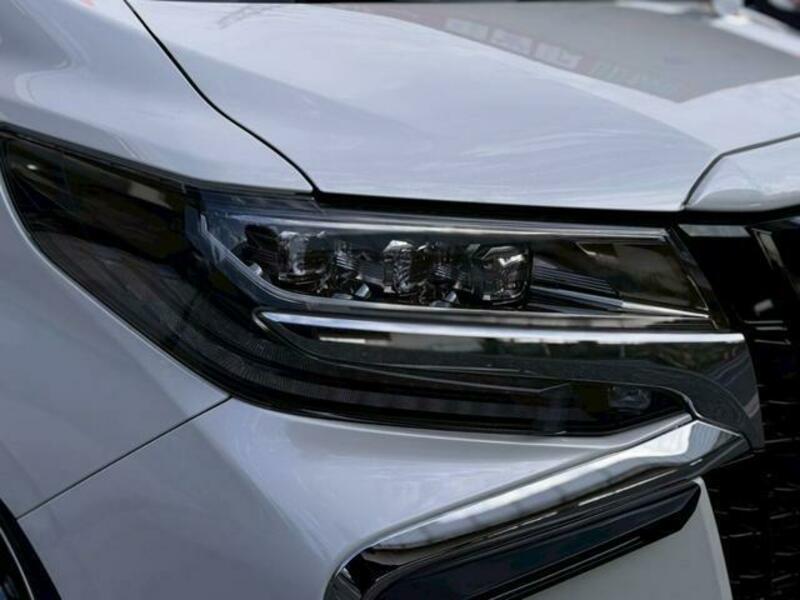 ALPHARD-11