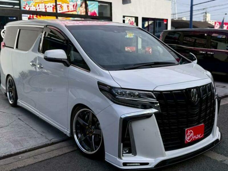 ALPHARD-13